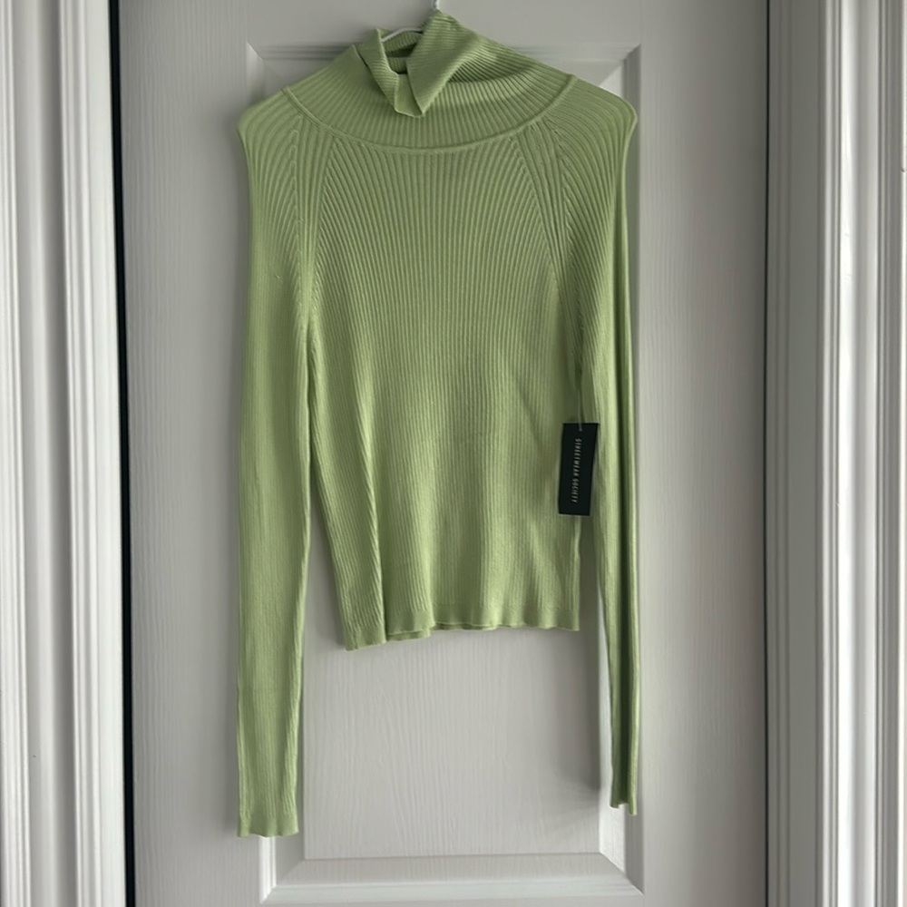 Green ribbed turtle neck